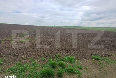 Teren de 3256 mp, în Bosanci