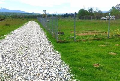 Teren extravilan  de vanzare | 8000 mp|- Valea Avrigului - 6