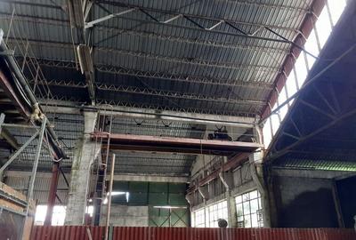 Hala 5000 mp si teren 18000mp, d=95ml, Pantelimon - 3