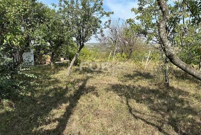 Teren de 1665 mp, în Dealuri Oradea