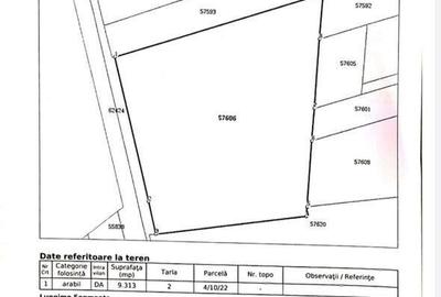 Teren intravilan 9313 mp in comuna 1 Decembrie - Ilfov - 3