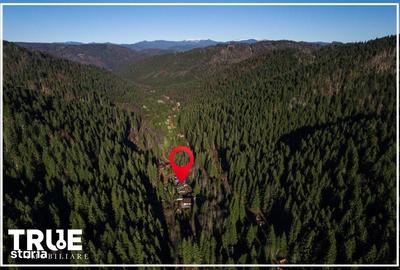 Casă cu 4 camere în Sălard - 18