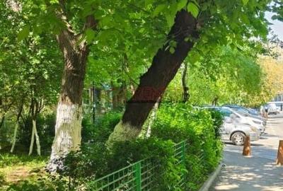 Apartament cu 2 camere în Giurgiului