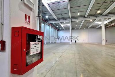 Hala industriala Timisoara, 3500 mp, Zona Lugojului - 2