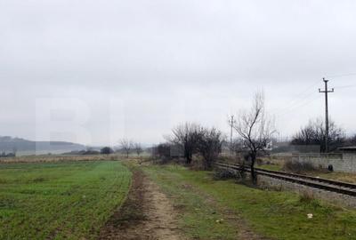 Teren intravilan industrial, 41.000 mp, front 117 m, I?alni - 1