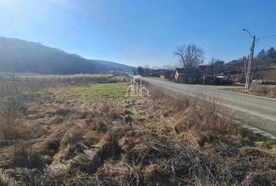 Teren 1000 Mp Intravilan De Vanzare, Langa Lac, Ivanesti - 2