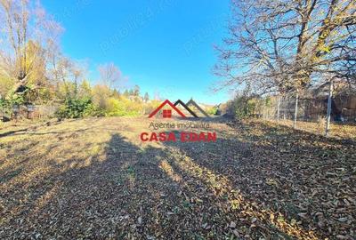 Teren intravilan in Cornu 3171 mp--89.000e - 13