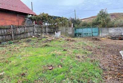 Teren de 3974 mp, în Breznița-Ocol - 5