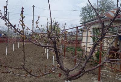 Casă în Heliade Rădulescu - 1