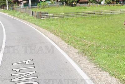 Teren de vanzare pe DN1 A Prahova Maneciu - 6