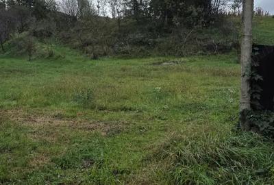 Casă cu 2 camere în Strei - 1