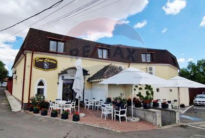 AFACERE DE VANZARE - RESTAURANTUL DON CHIRIAC