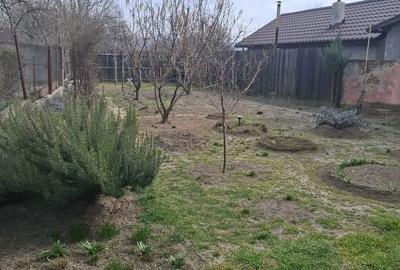 Casă cu 4 camere cu Teren 377 Mp în Traian - 4