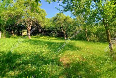 Casa traditionala din lemn cu 930 mp teren langa Sibiu - 8