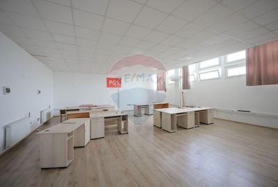 Spațiu industrial, de 15,726 mp, în Vest - 29