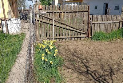 Casă cu 4 camere cu Teren 3210 Mp în Constantinești - 2