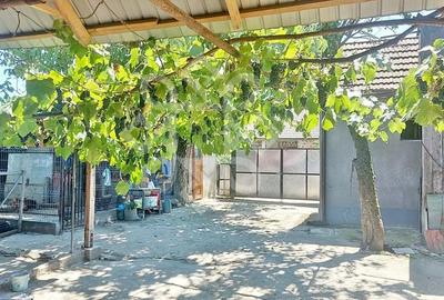 Casă cu Teren 2400 Mp în Tinca - 5