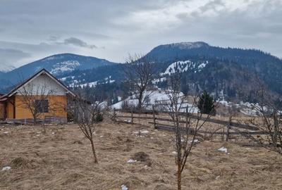 Spațiu comercial, în Moisei - 1