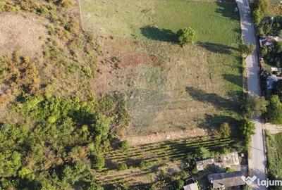 Teren de 4267 mp, în Satu Nou (Panciu) - 7