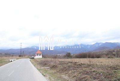 Teren agricol intravilan de 5390 mp, în Racovița - 7