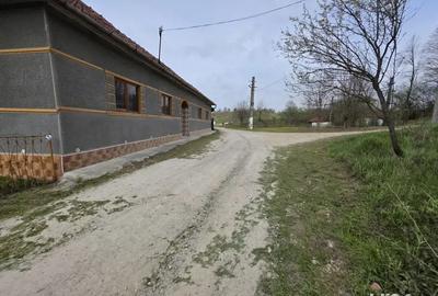 Vand casa la tara - 2