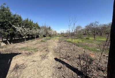 Casă cu 4 camere în Fișcălia - 4