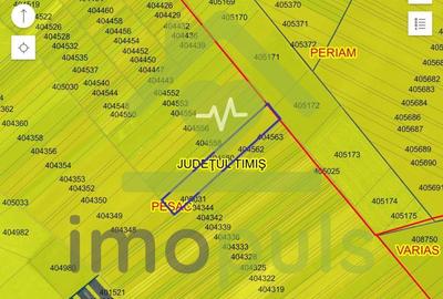 ? Teren extravilan la Pesac de 3,4 ha (1,4 euro/mp)? - 4