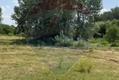 Teren agricol extravilan de 5000 mp, în DN 2 - 1