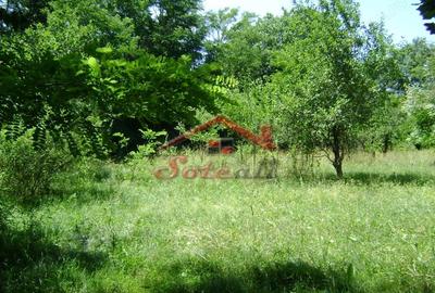 Teren de 1585 mp, în Cornu