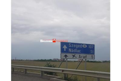 Teren de 43500 mp, în Sud - 13