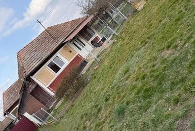 Casă cu 2 camere cu Teren 1200 Mp în Central - 3