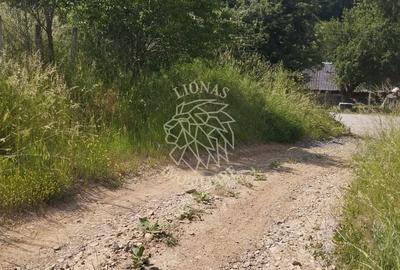 Teren Construcții extravilan de 40000 mp, în Unirea - 4