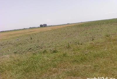 Teren de 9.5 mp, în Ceamurlia de Jos - 2