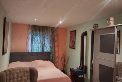 Casa de vanzare Peciu Nou - 2