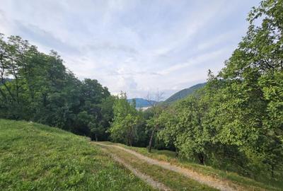 TEREN DE VANZARE SECIURI - 5