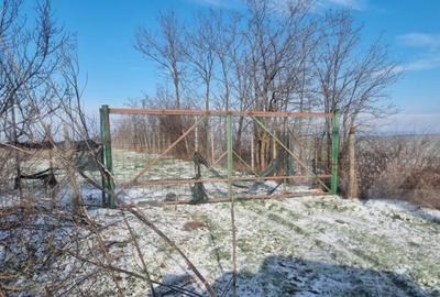 Teren cu livada Nuci- Oportunitate investitie- CioraniPh - 3