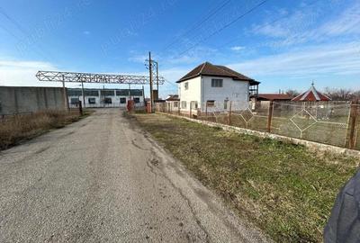 Vand teren intravilan,zona industriala,st.16,8 ha. + 8 ha.agricol,in Sanicolau Mare, la DN6,la sosea - 4
