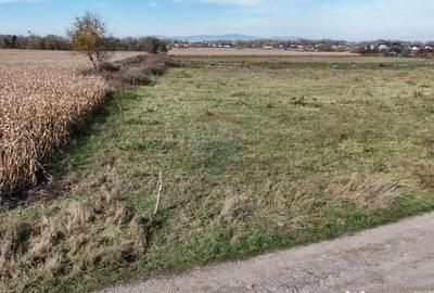 Teren de 921 mp, în Bartolomeu - 3