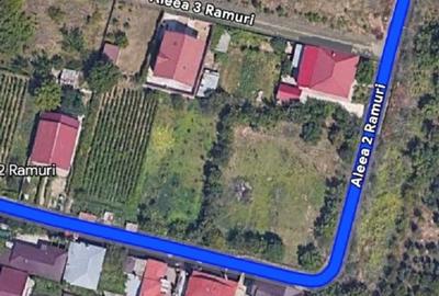 Teren parcerabil Bariera Valcii Proprietar - 8