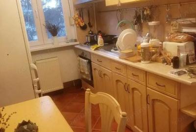 Apartament cu 3 camere decomandat, mobilat în Elisabetin - 5