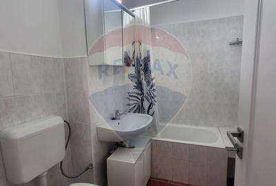 Apartament cu 3 camere de inchiriat in zona Micalaca - 19