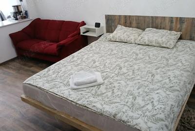 Garsonieră decomandată în Central - 1