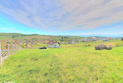 Spațiu comercial, în Șura Mare