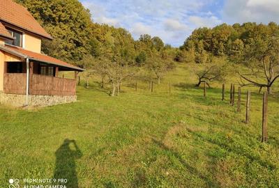 RECO Casa de vacanta in Borod - 2