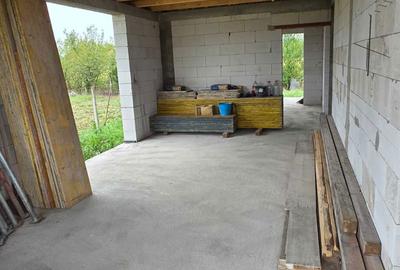 Casă cu 2 camere în Teiu - 3