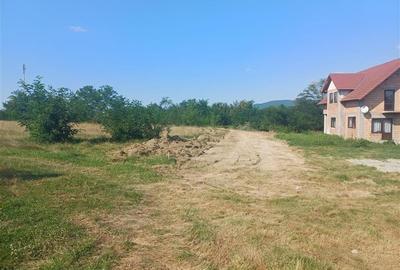 Teren 1344 mp  de vanzare cu autorizatie de constructie str Cindrel - 4