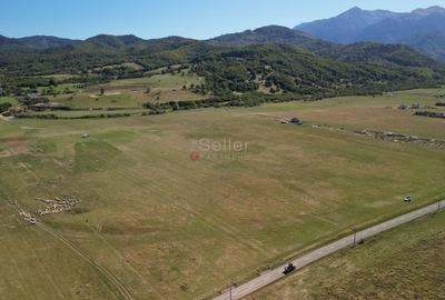 Teren extravilan Rasnov - 8