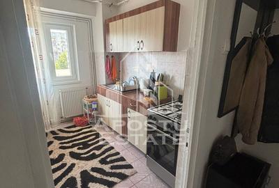 Apartament cu 2 camere în Elisabetin - 2