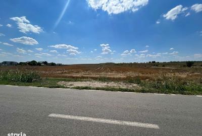 Teren de 5000 mp, în Clinceni - 7