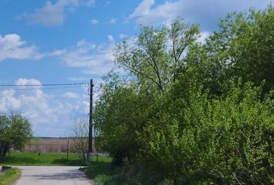 SUPER OCAZIE SE VINDE TEREN LA CEL MAI MIC PRET LA DELTA NEAJLOVULUI BUDENI GR - 3